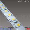 Blueline economy LED strip flexibel IP55